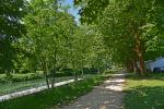 2025 06 08 Marais Poitevin 026
